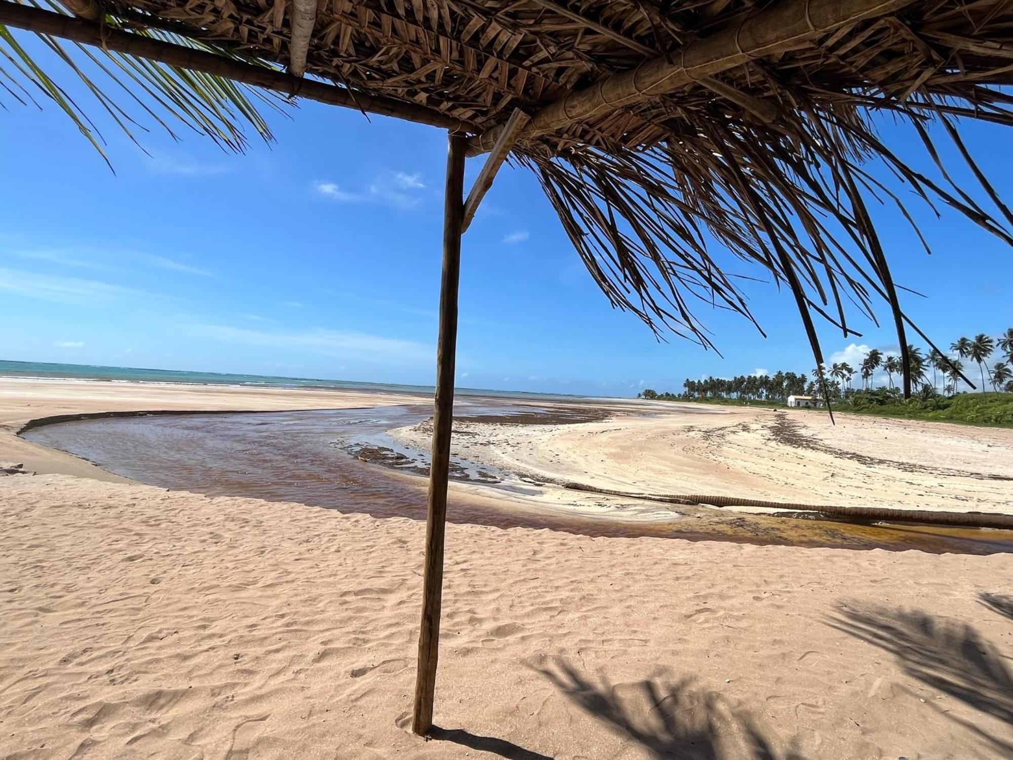 Casa Com Piscina - Milagres - Praia E Capela São Miguel dos Milagres Екстериор снимка